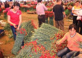 Kunming Flowers & Birds Market